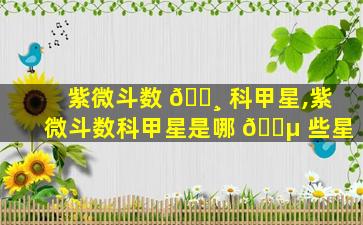紫微斗数 🕸 科甲星,紫微斗数科甲星是哪 🐵 些星